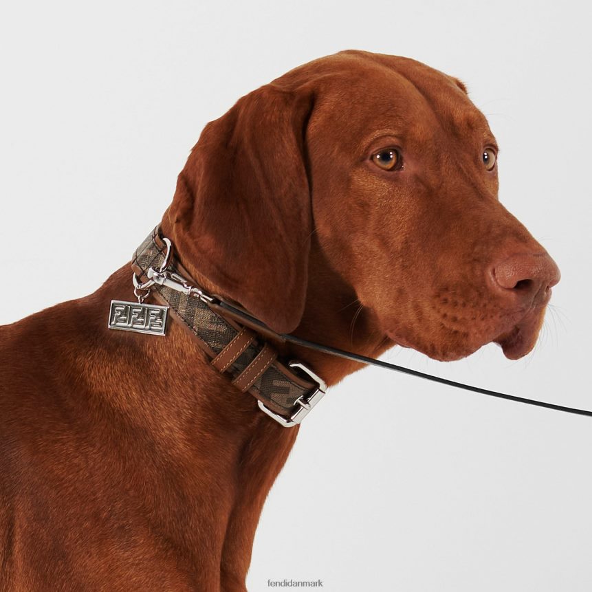 stof krave Mænd Fendi tilbehør Brun A44V2D451